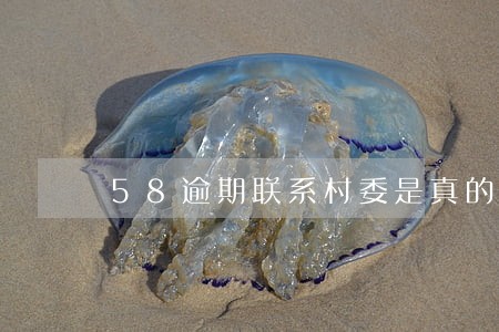 58逾期联系村委是真的吗 58逾期联系村委是真的吗