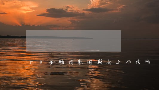 58金融借款逾期会上征信吗 58金融借款逾期会上征信吗