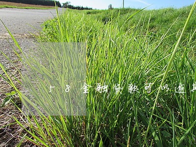 58金融贷款可以逾期多久 58金融贷款可以逾期多久