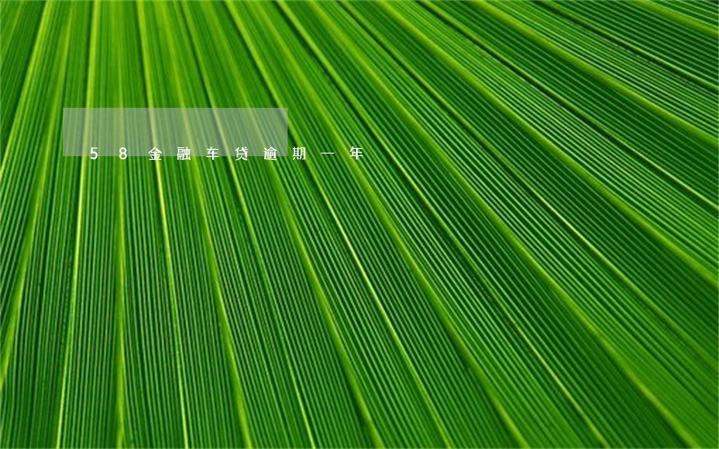 58金融车贷逾期一年 58金融车贷逾期一年