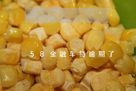58金融车贷逾期了 58金融车贷逾期了
