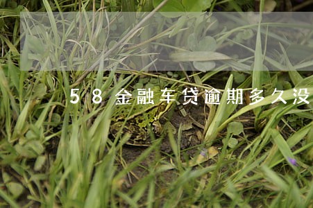 58金融车贷逾期多久没事 58金融车贷逾期多久没事