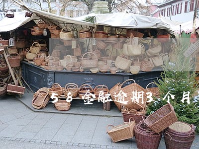 58金融逾期3个月了会上通缉吗 58金融逾期3个月了会上通缉吗