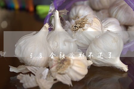 58金融逾期不还了 58金融逾期不还了