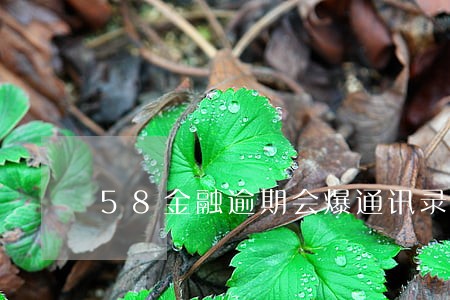 58金融逾期会爆通讯录吗 58金融逾期会爆通讯录吗