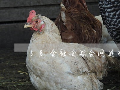 58金融逾期会网逃吗 58金融逾期会网逃吗