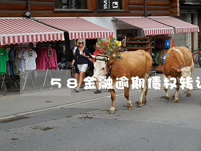 58金融逾期债权转让 58金融逾期债权转让