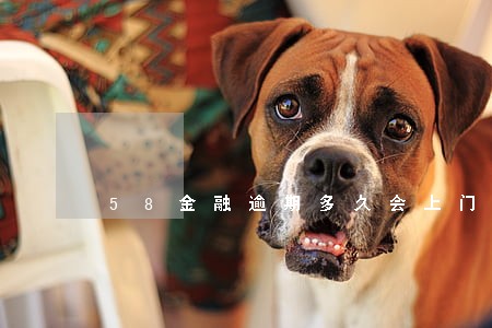 58金融逾期多久会上门 58金融逾期多久会上门