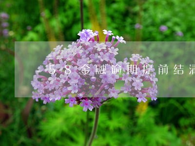 58金融逾期提前结清减免 58金融逾期提前结清减免