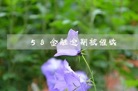 58金融逾期被催收 58金融逾期被催收