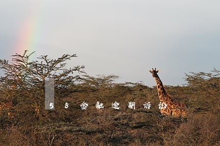 58金融逾期诉讼 58金融逾期诉讼
