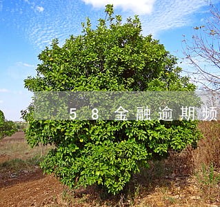 58金融逾期频繁发短信 58金融逾期频繁发短信