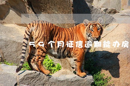 59个月征信逾期能办房贷