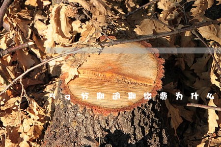 5g分期逾期缴费为什么不解冻 5g分期逾期缴费为什么不解冻