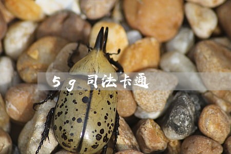 5g司法卡通