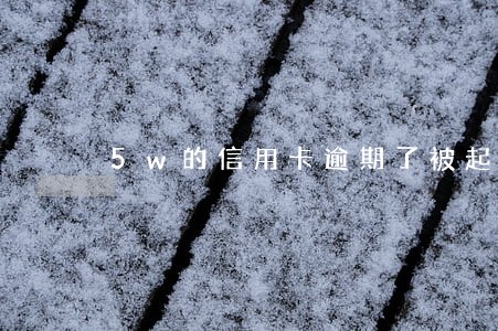 5w的信用卡逾期了被起诉了