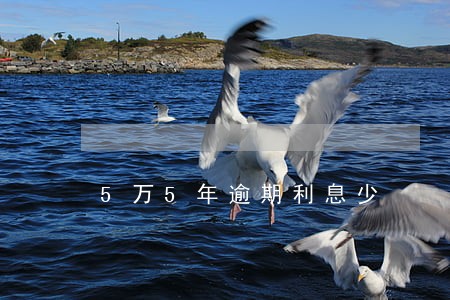 5万5年逾期利息少 5万5年逾期利息少