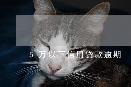 5万以下信用贷款逾期 5万以下信用贷款逾期