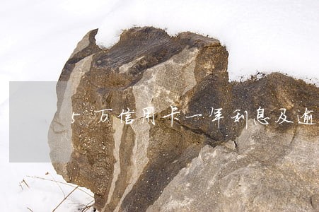 5万信用卡一年利息及逾期 5万信用卡一年利息及逾期