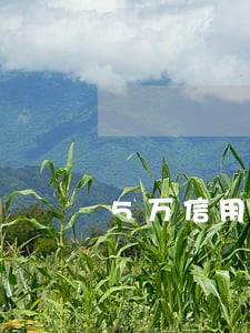 5万信用卡逾期一个月违约金多少 5万信用卡逾期一个月违约金多少