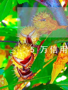 5万信用卡逾期有什么后果 5万信用卡逾期有什么后果