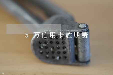 5万信用卡逾期费 5万信用卡逾期费