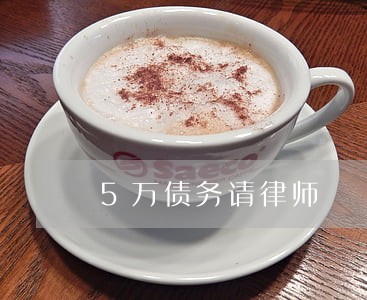 5万债务请律师 5万债务请律师