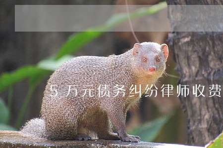 5万元债务纠纷律师收费标准问题 5万元债务纠纷律师收费标准问题