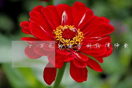 5万元的债务纠纷律师费用咨询 5万元的债务纠纷律师费用咨询