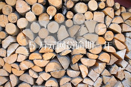 5万元网贷逾期一年 5万元网贷逾期一年