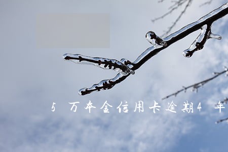 5万本金信用卡逾期4年有钱了怎么还 5万本金信用卡逾期4年有钱了怎么还