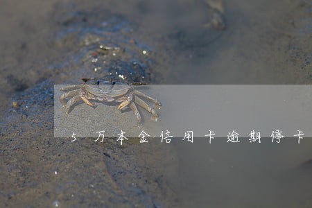5万本金信用卡逾期停卡 5万本金信用卡逾期停卡