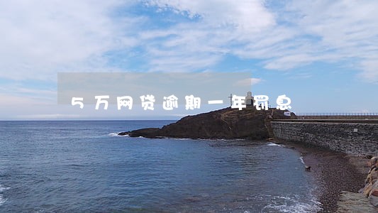 5万网贷逾期一年罚息 5万网贷逾期一年罚息