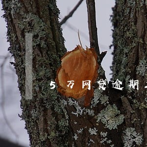5万网贷逾期三个月 5万网贷逾期三个月