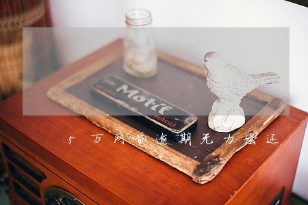5万网贷逾期无力偿还 5万网贷逾期无力偿还