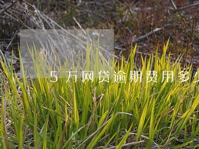 5万网贷逾期费用多少合法 5万网贷逾期费用多少合法