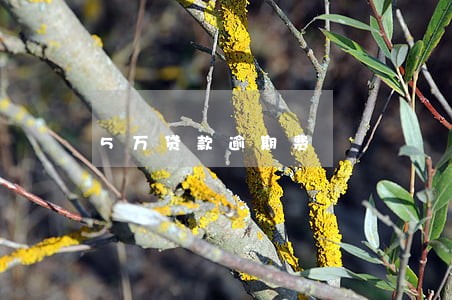 5万贷款逾期费 5万贷款逾期费