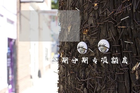 5万逾期分期专项额度 5万逾期分期专项额度