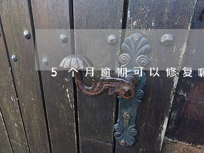 5个月逾期可以修复嘛 5个月逾期可以修复嘛