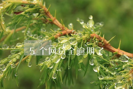 5个网贷全逾期了 5个网贷全逾期了