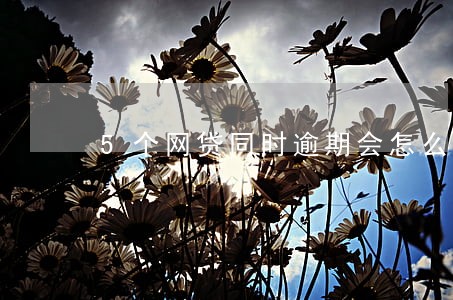 5个网贷同时逾期会怎么样 5个网贷同时逾期会怎么样