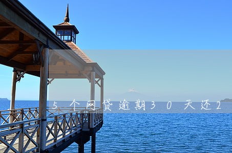 5个网贷逾期30天还2个月 5个网贷逾期30天还2个月