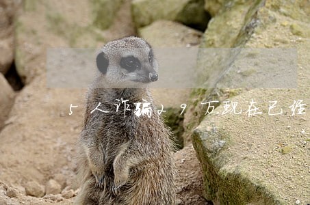 5人诈骗29万现在已经到法院了 5人诈骗29万现在已经到法院了