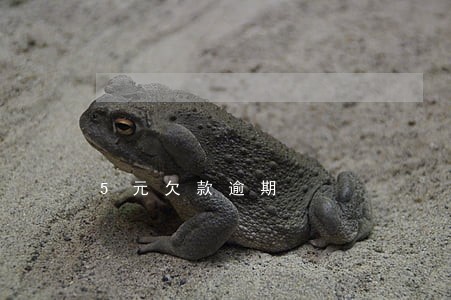 5元欠款逾期 5元欠款逾期