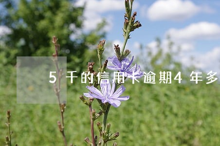 5千的信用卡逾期4年多少利息