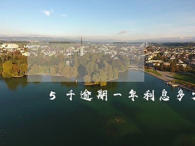 5千逾期一年利息多少 5千逾期一年利息多少