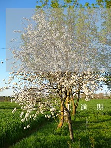 5千逾期半年要还多少
