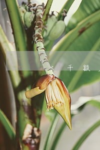 5千额度信用卡逾期2年