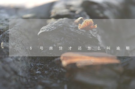 5号房贷才还怎么叫逾期还款 5号房贷才还怎么叫逾期还款