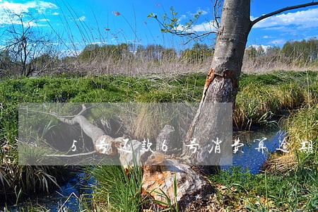 5号还款6号消费算逾期吗 5号还款6号消费算逾期吗